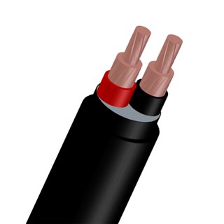 0,6/1KV - CU/XLPE/PVC - 2 Cores (CXV) Power Cable