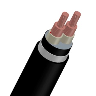0,6/1KV - CU/XLPE/PVC - 2 Cores (CXV/DATA) Power Cable