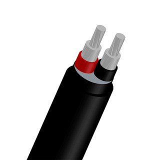 0,6/1KV - AL/PVC/PVC - 2 Cores (AVV) Power Cable